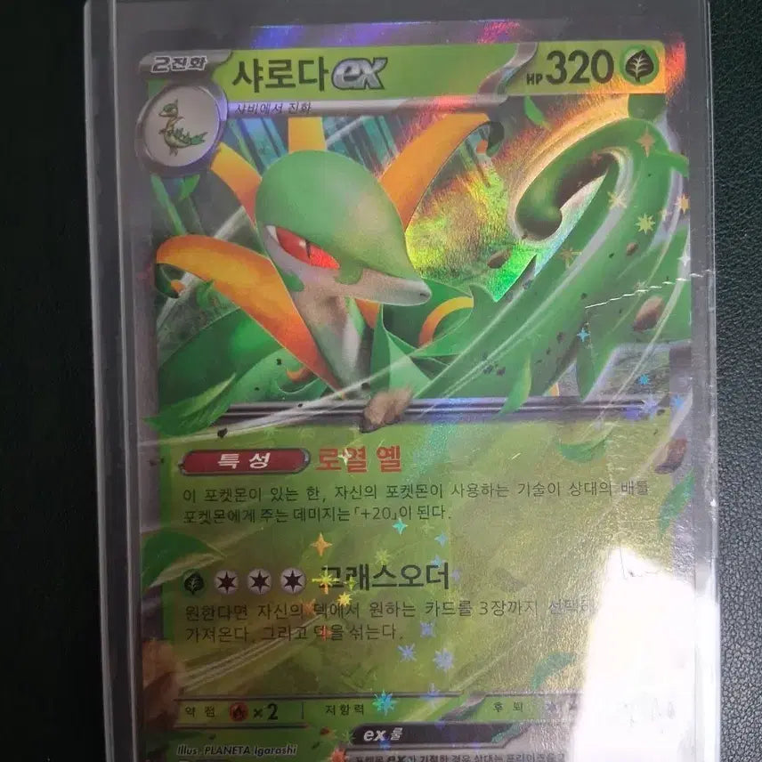 [BUNJANG] Pokemon Card Serperior ex / 포켓몬카드 샤로다ex