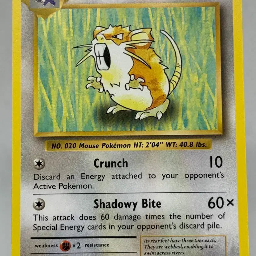 [BUNJANG] Pokemon Card North American Raticate Vintage / XY Evolutions / 포켓몬카드 북미 레트라(Raticate) 빈티지 / XY 에볼루션