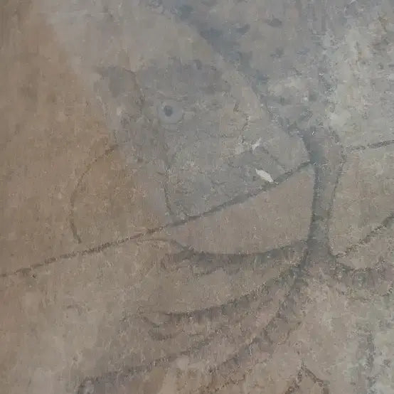 [BUNJANG] Korean Folk Painting of Pheasant on Rock / 오래된민화