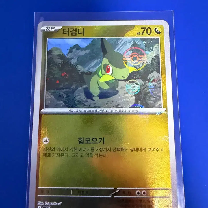 [SOLD OUT] 포켓몬카드 터검니 몬볼 몬스터볼 카드