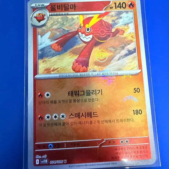 [SOLD OUT] 포켓몬카드 불비달마 몬볼 몬스터볼 카드