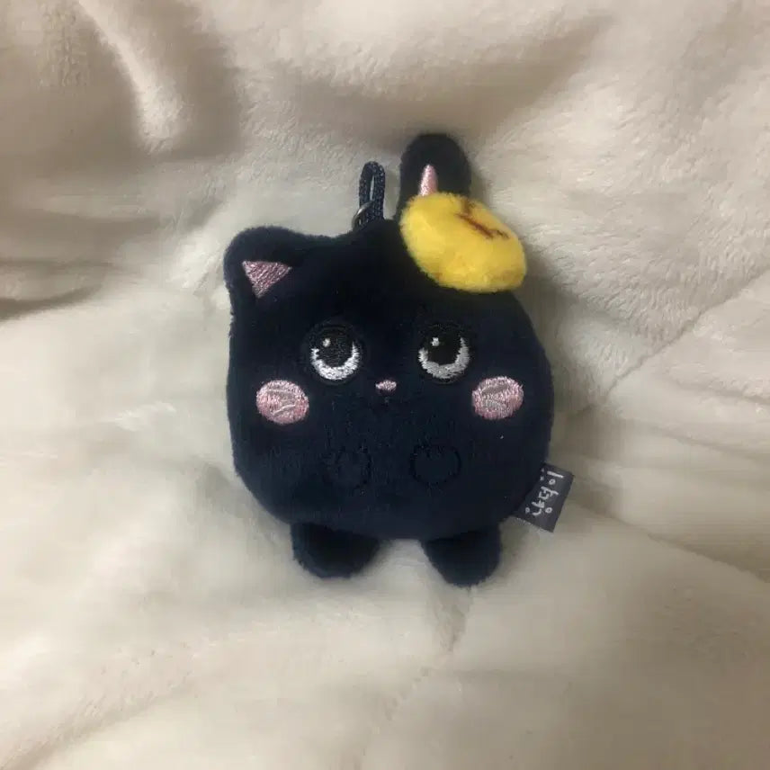 [BUNJANG] Mini Tto-nyangdeok Photocard Holder / 미니 토냥덕