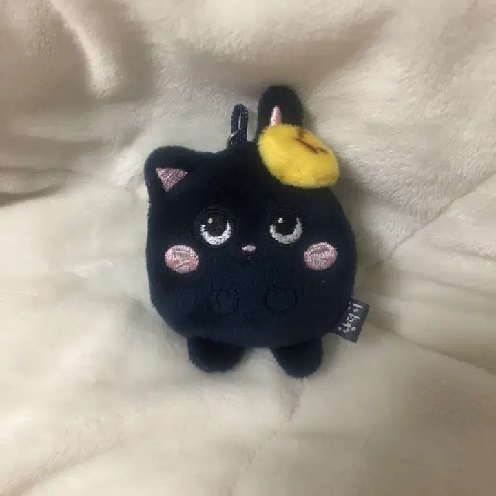 [BUNJANG] Mini Tto-nyangdeok Photocard Holder / 미니 토냥덕