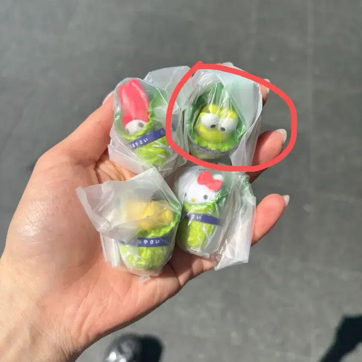 [SOLD OUT] 산리오 배추가챠 케로피+파우치가챠