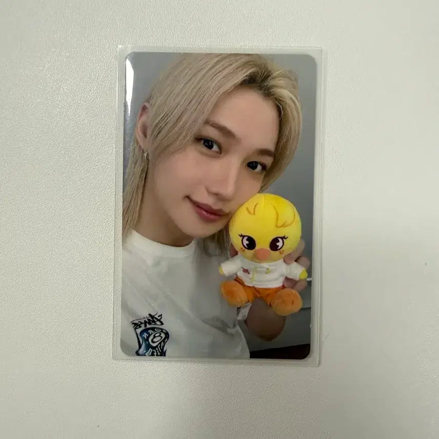 [BUNJANG] Stray Kids Zootopia Felix Photocard / 스트레이키즈 주토피아 필릭스 포카