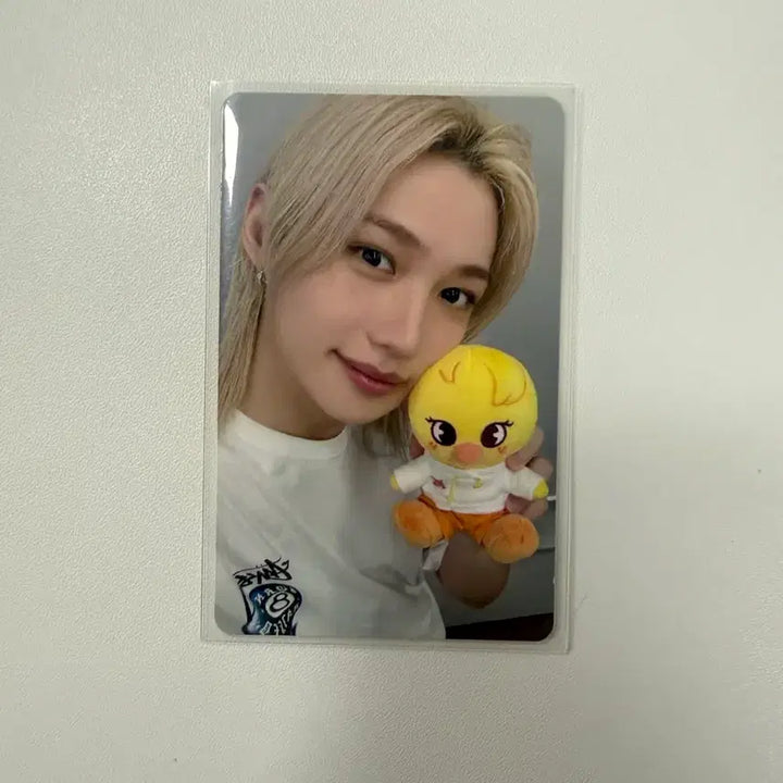 [BUNJANG] Stray Kids Zootopia Felix Photocard / 스트레이키즈 주토피아 필릭스 포카