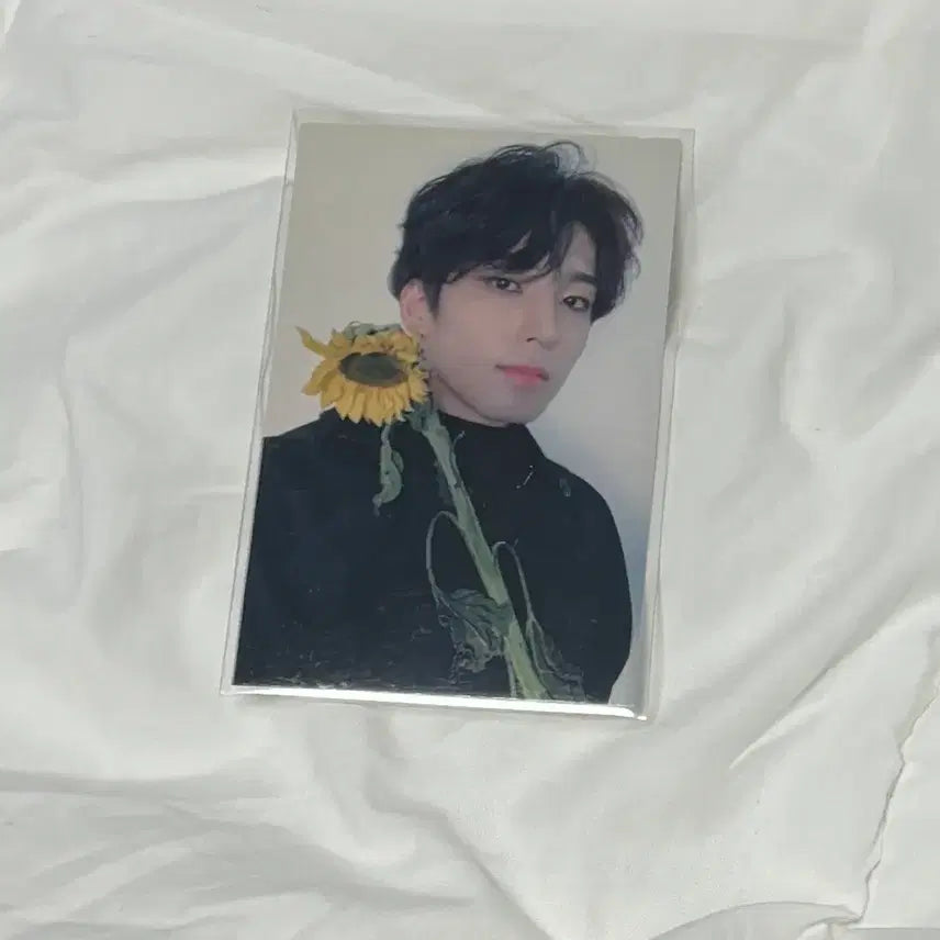 [BUNJANG] Seventeen Wonwoo You Make My Day Broadcast Photocard / (최저가) 세븐틴 원우 공방 캐럿존 해바라기 ymmd 포카 판매 양도 s