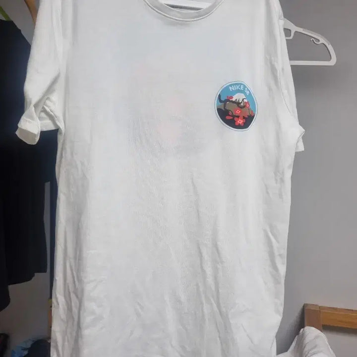 [BUNJANG] Nike SB Fuji Mountain Short Sleeve T-Shirt / 나이키 후지산 반팔티