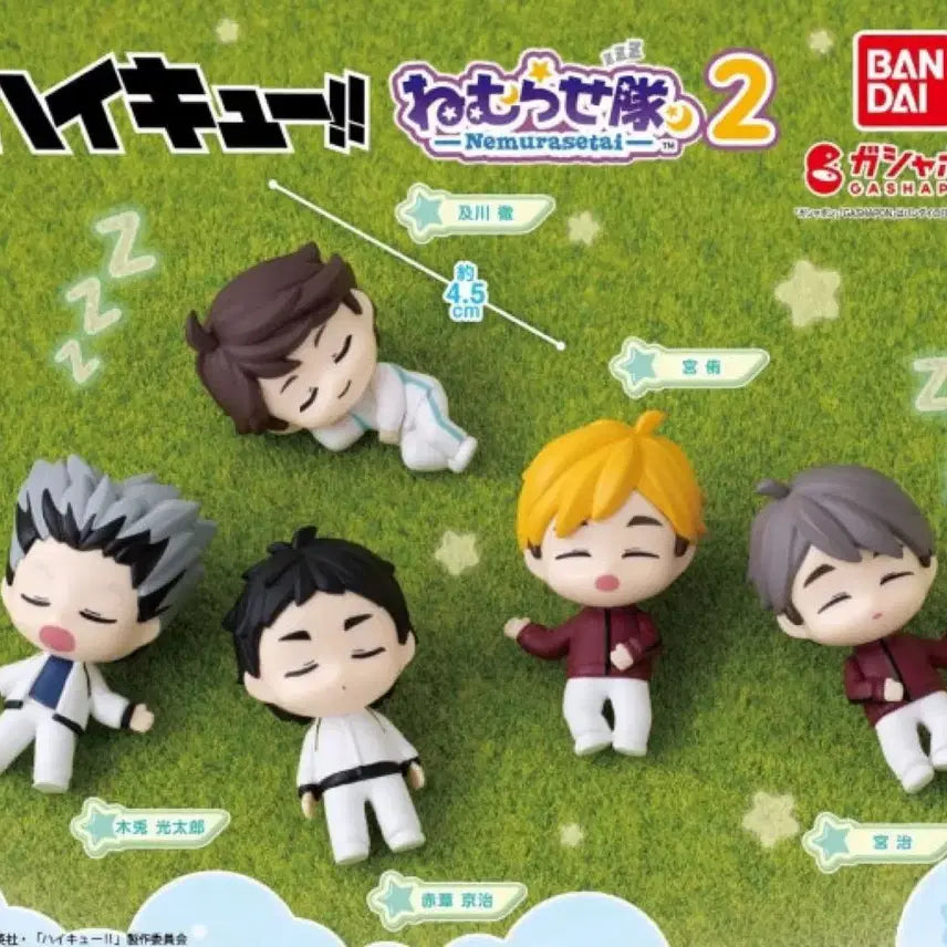 [BUNJANG] Haikyuu!! Nemurasetai Gacha Akaashi / 하이큐 네무라세타이 가챠 아카아시 미개봉