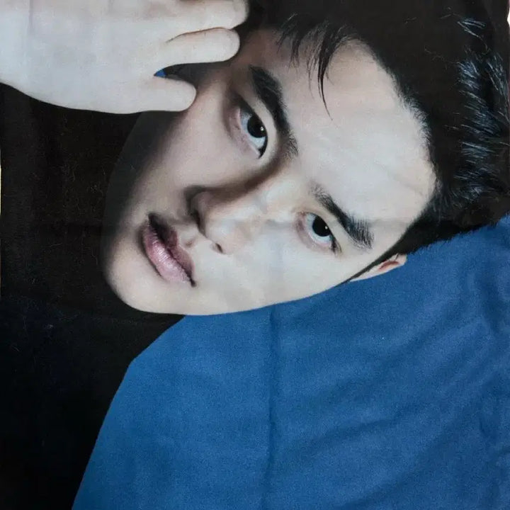 [SOLD OUT] 도경수(디오)쿠션 커버