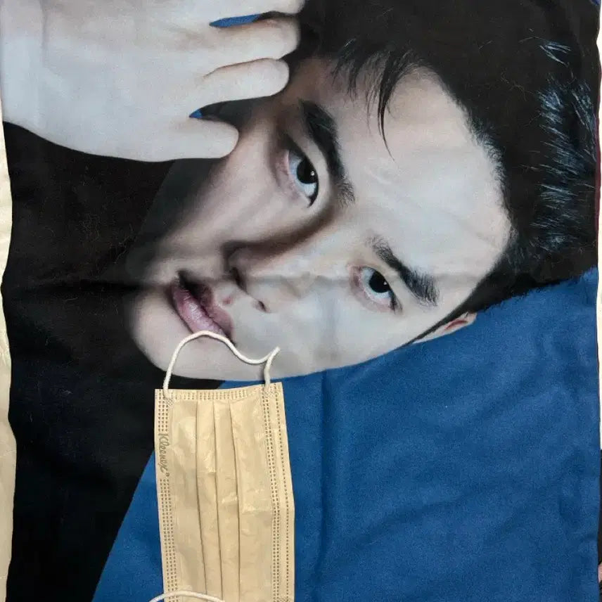 [SOLD OUT] 도경수(디오)쿠션 커버