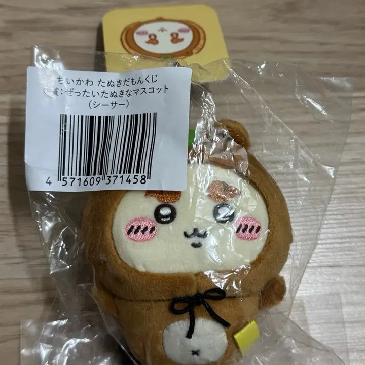 [BUNJANG] Chiikawa Raccoon C Prize Shisa Mascot / 치이카와 너구리 쿠지 c상 시사 마스코트