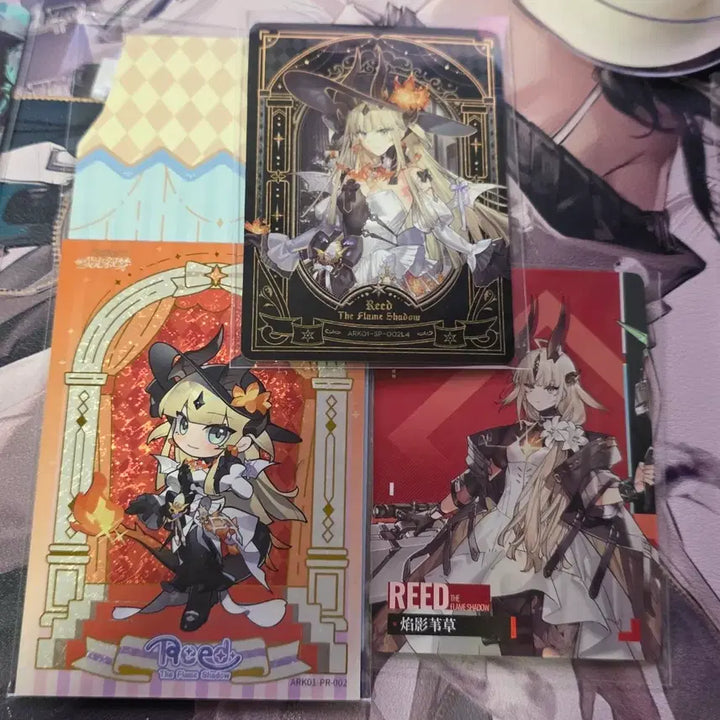[BUNJANG] Arknights Kayou Collaboration Helied Rare Trading Cards / 명일방주 KAYOU 콜라보 힐리드 레어 카드 판매