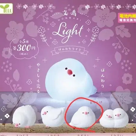 [BUNJANG] YELL Bunjo Honwari Light Mood Lamp / YELL 문조 HONWARI 라이트 무드등