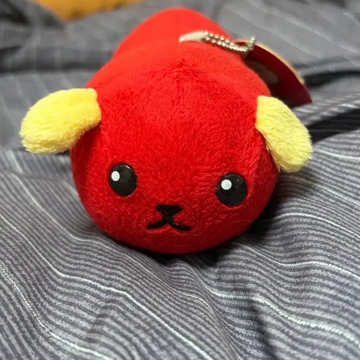 [BUNJANG] Mameshiba Shiba-Kong Plush Doll (Classic) / (택O) 마메시바 시바콩 인형 누이구루미 고전 인형