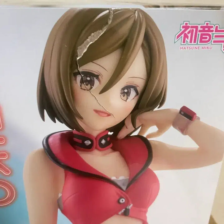 [SOLD OUT] *급처*후류 메이코 누들스토퍼