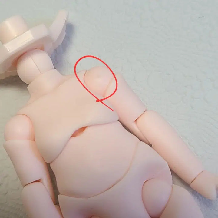 [BUNJANG] Nendoroid Doll Custom Head Body Set / 넨도돌 세트 개안 넨도로이드 오비츠11