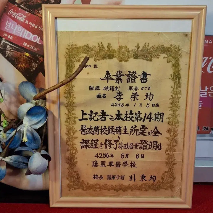 [BUNJANG] 1953 Korean Army Medical School Graduation Certificate / 1953년 육군군의학교 졸업장