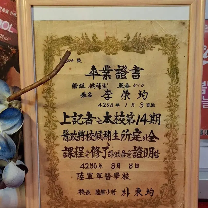 [BUNJANG] 1953 Korean Army Medical School Graduation Certificate / 1953년 육군군의학교 졸업장