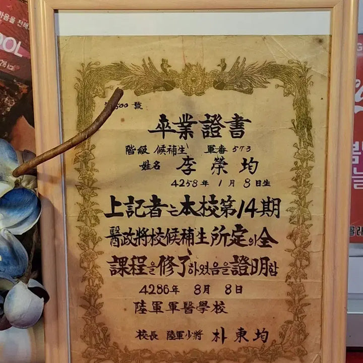 [BUNJANG] 1953 Korean Army Medical School Graduation Certificate / 1953년 육군군의학교 졸업장
