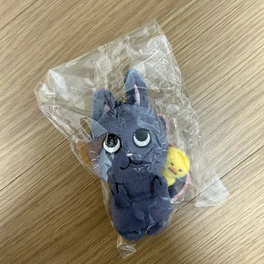 [BUNJANG] RIIZE Wonbin 1st Gen Tony Cat Duck Photocard Holder / 라이즈 원빈 1기 토냥덕(미개봉새상품)