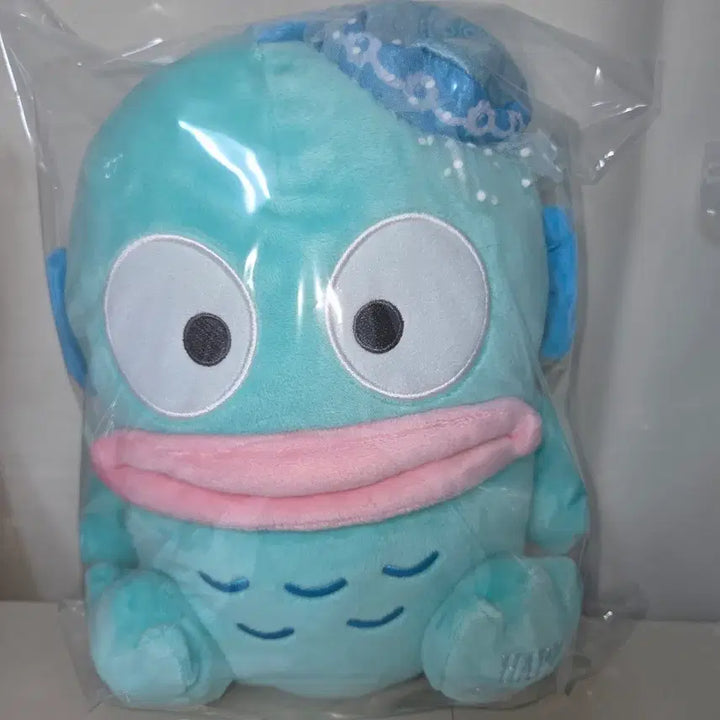 [BUNJANG] Han Hyugdong Birthday Medium Plush / 한교동 생일 중형인형