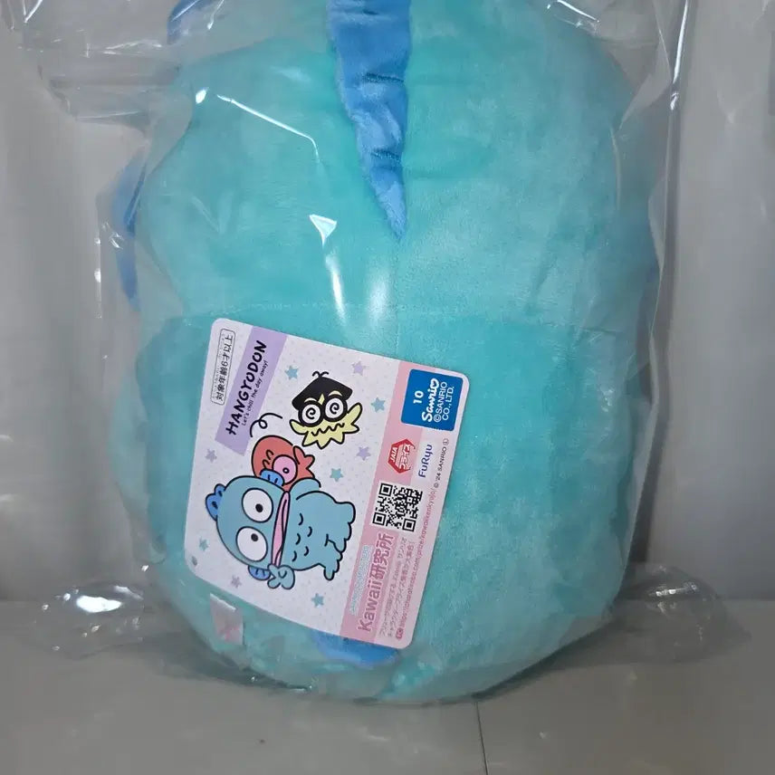 [BUNJANG] Han Hyugdong Birthday Medium Plush / 한교동 생일 중형인형