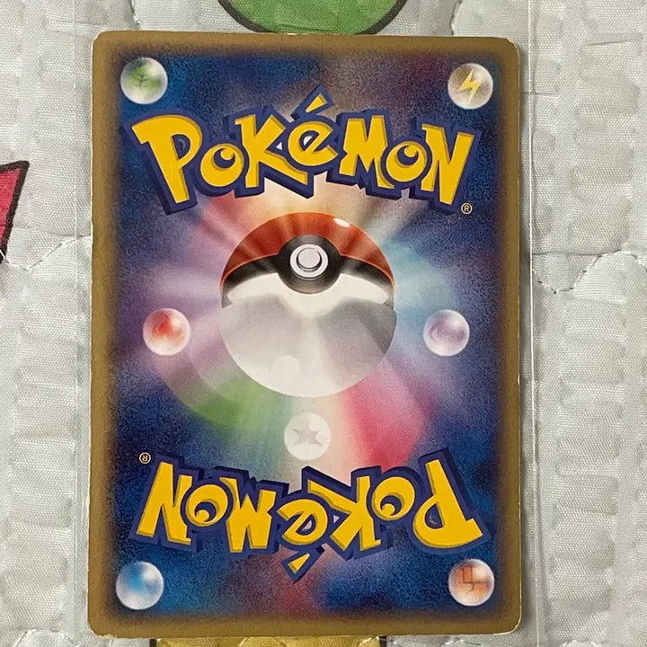 [BUNJANG] Pokemon Card Meta Squirtle / 포켓몬 카드 메타 꼬부기