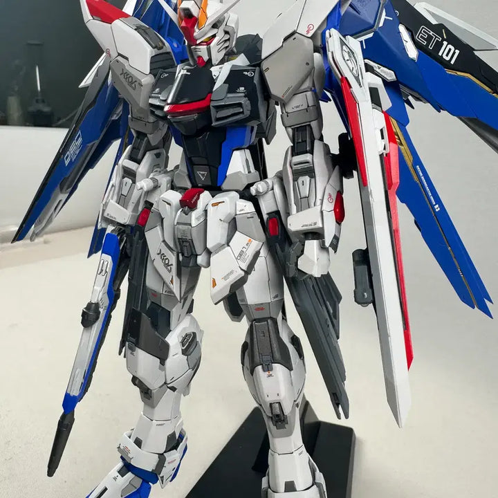 [BUNJANG] Custom Painted Gundam Models (Freedom Resin Conversion, Destiny Zeus) / 건담 도색작들 판매합니다