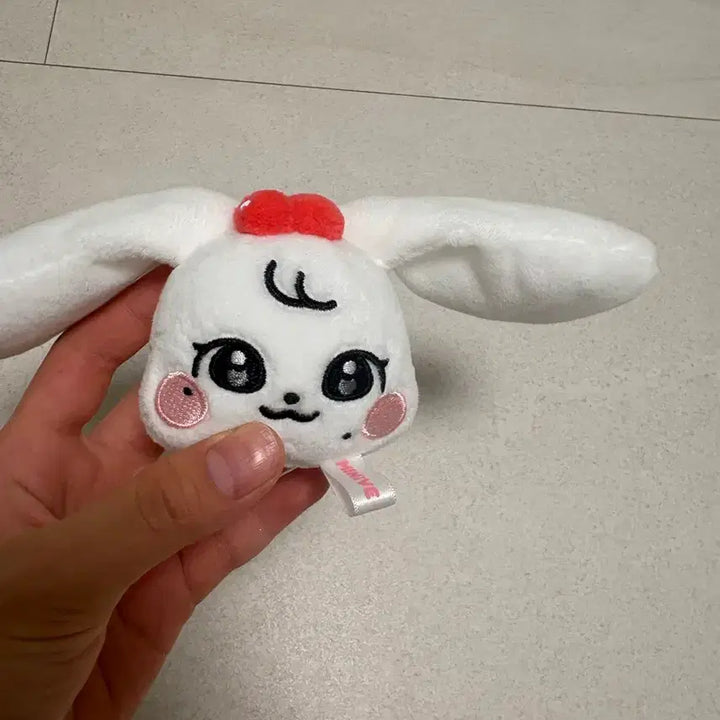 [BUNJANG] MiniBr Cherry Face Keyring / 미니브 체리 페이스 키링