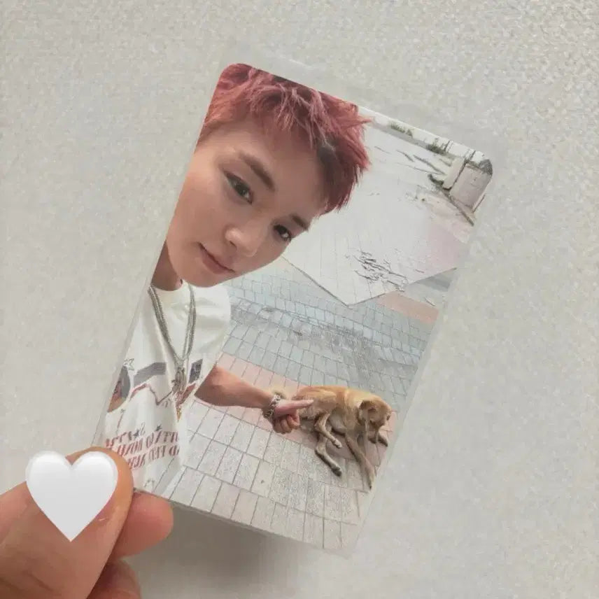 [BUNJANG] Park Ji Hoon Pop-up Photocard / 박지훈 팝업 포카