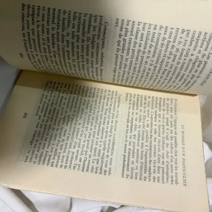 [BUNJANG] Vintage French Antique Book / 빈티지책(프랑스)