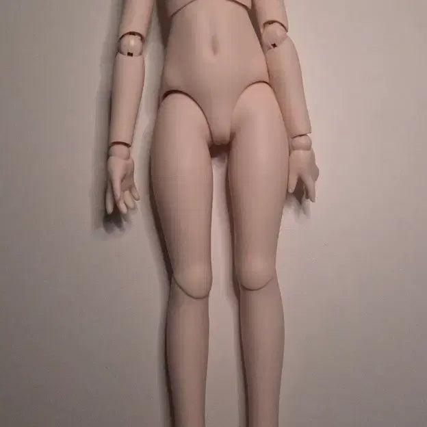 [BUNJANG] MDD Semi-White Body / Mdd  dd-f3 세미화이트 바디