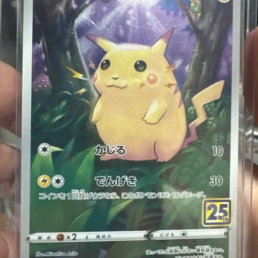 [BUNJANG] Pokemon 25th Anniversary Pikachu Japanese Edition / 포켓몬 카드 25주년 피카츄 일판
