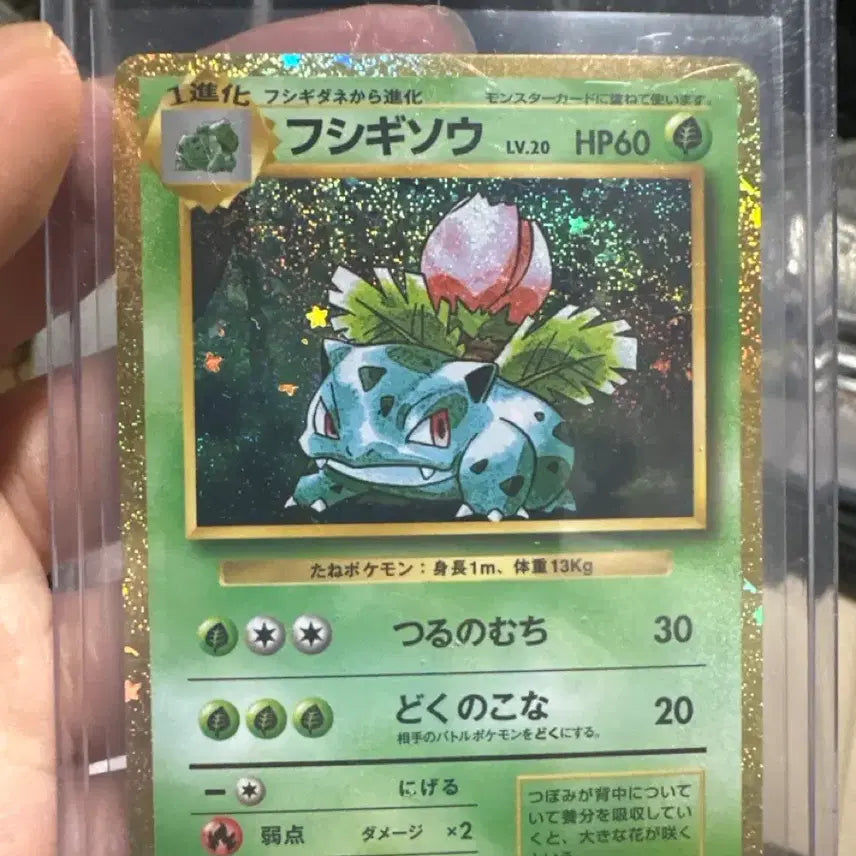[BUNJANG] Vileplume Holo Japanese Exclusive / 이상해풀 일판 홀로