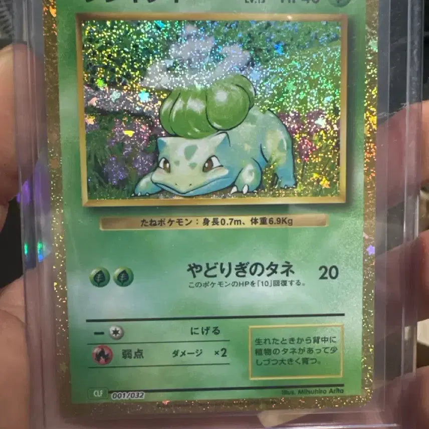 [BUNJANG] Pokemon Card Bulbasaur Japanese / 포켓몬 카드 이상해씨 일판