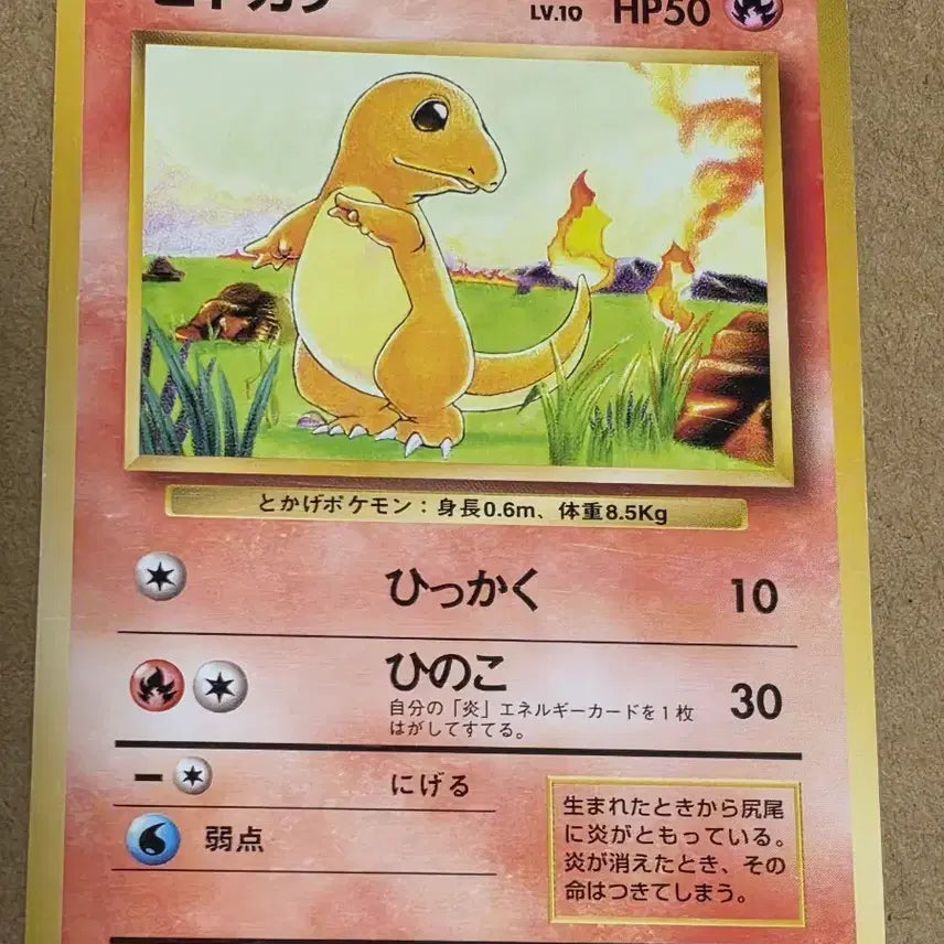 [BUNJANG] Pokemon Card Initial Charmander / 포켓몬 카드 초기 파이리