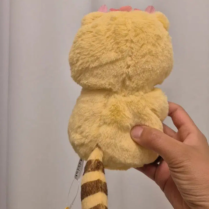[BUNJANG] Rascal Raccoon Plush Toy with Flower Decoration / 너구리 라스칼 인형