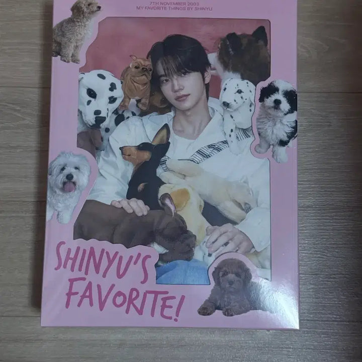 [BUNJANG] Seungyoo Favorite Box (Sealed) / (미개봉) 신유 생일 favorite box