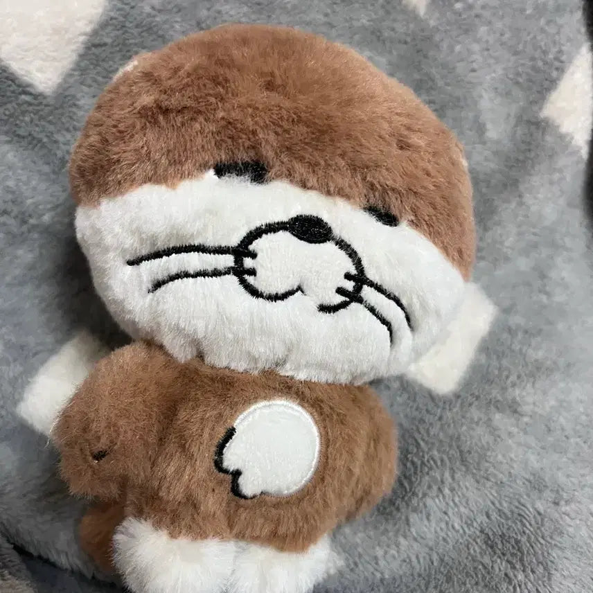 [BUNJANG] Rio Darling Hwanhee Taehan Rehyun Byunghyun Yunhak Doll / 리우 인형 판매합니다 달링 쁘넥도 성호 재현 태산 이한 운학