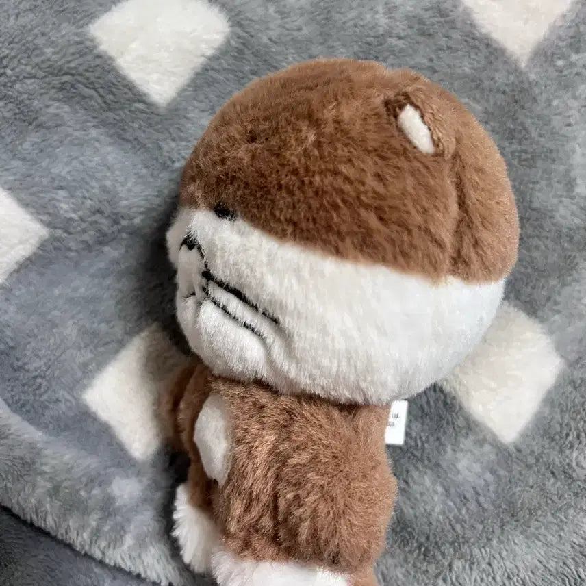 [BUNJANG] Rio Darling Hwanhee Taehan Rehyun Byunghyun Yunhak Doll / 리우 인형 판매합니다 달링 쁘넥도 성호 재현 태산 이한 운학