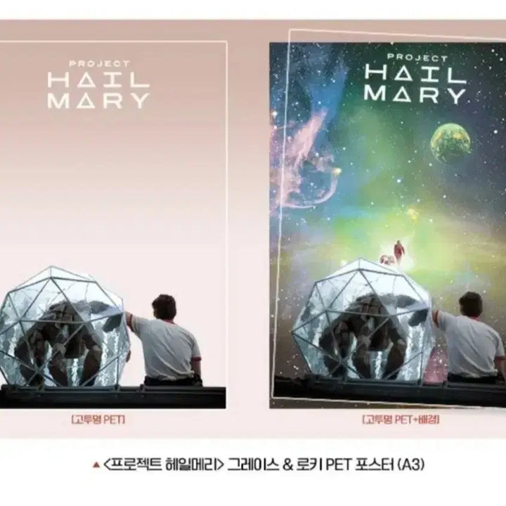 [BUNJANG] Project Hail Mary PET Poster Week 9 / 프로젝트 헤일메리 PET 포스터 9주차