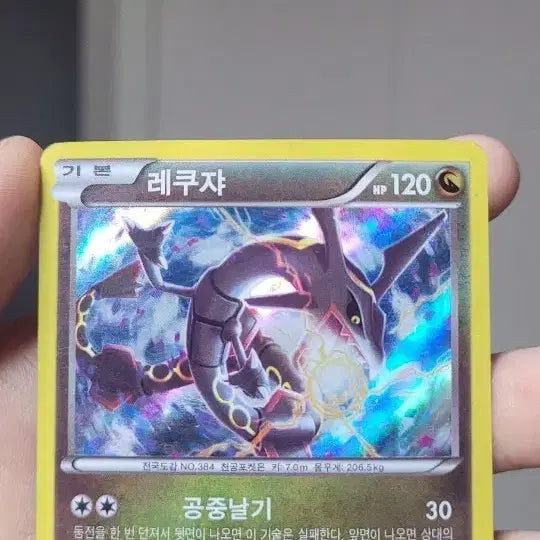 [BUNJANG] Rayquaza 190/XY-P Pokemon Card / 포켓몬 카드 레쿠쟈 190/XY-P