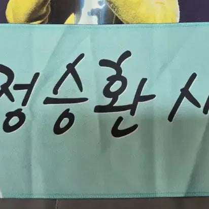 [BUNJANG] Jeong Seung Hwan Slogan / 정승환 슬로건