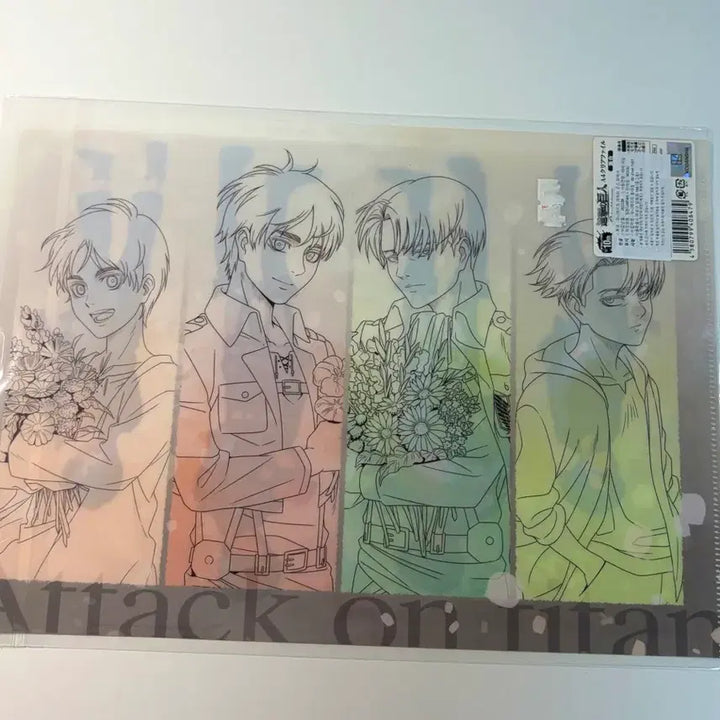 [BUNJANG] Attack on Titan Eren &amp; Levi Early Years File / 진격의 거인 에렌 리바이 꽃 어릴때 모습 파일