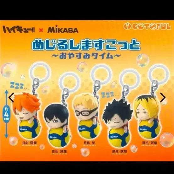 [BUNJANG] Haikyuu!! Mikasa Mezurushi Hinata (Sealed) / 미개봉) 하이큐 미카사 가챠 메지루시 (히나타)