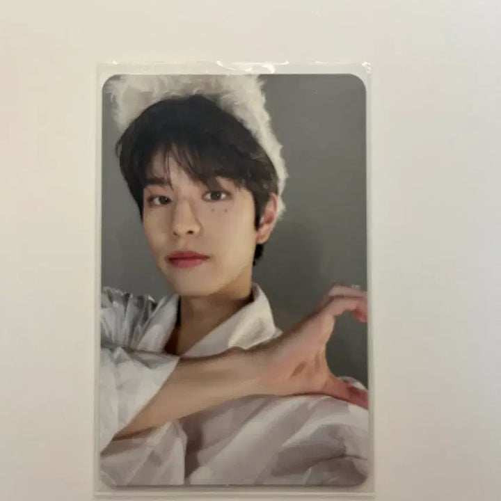 [BUNJANG] Stray Kids Seungmin Maxident Half Heart Album Photocard / 스키즈 스트레이키즈 승민 맥시던트 반쪽 하트 앨범 포카
