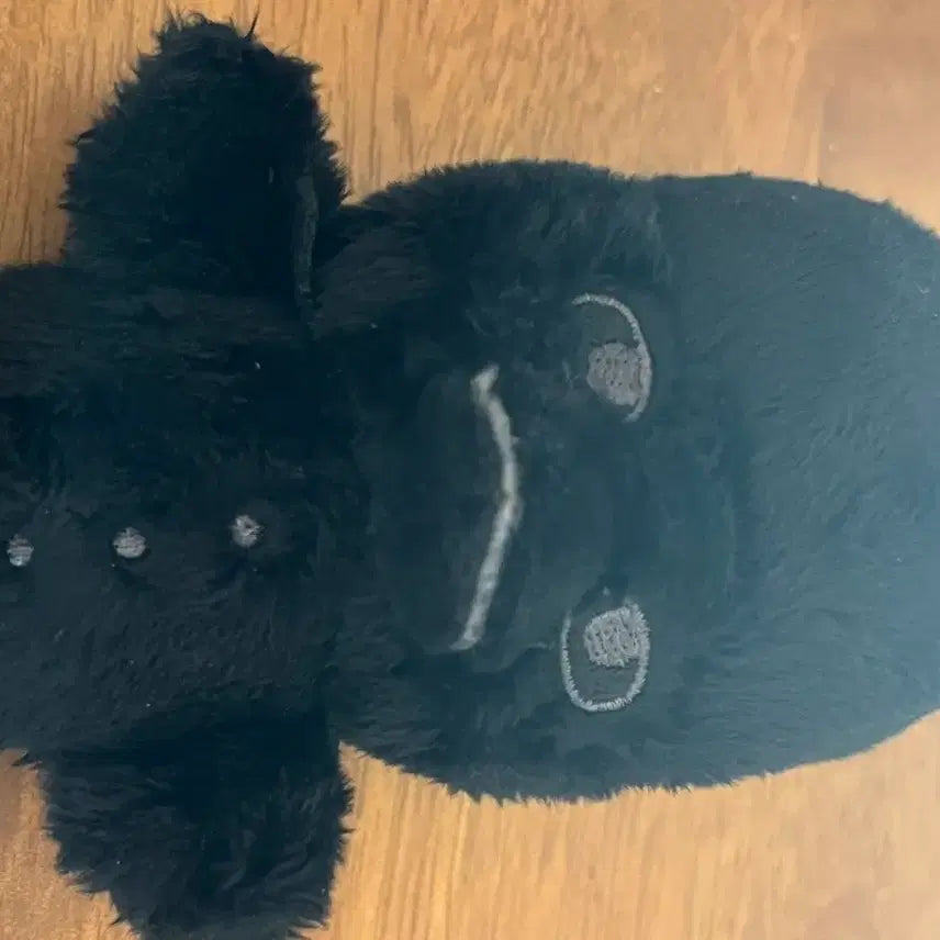 [BUNJANG] RIIZE FAME Crow Plush / 라이즈 페임 fame 똘병이 까마귀