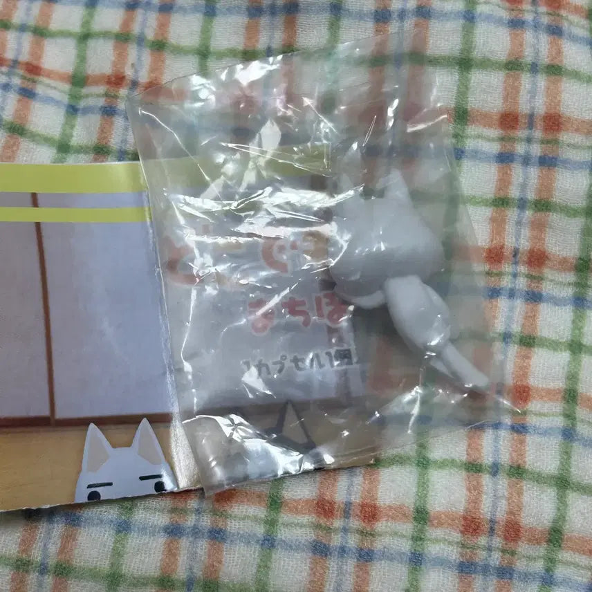 [SOLD OUT] 도코데모잇쇼 토로 가챠 일본 가챠