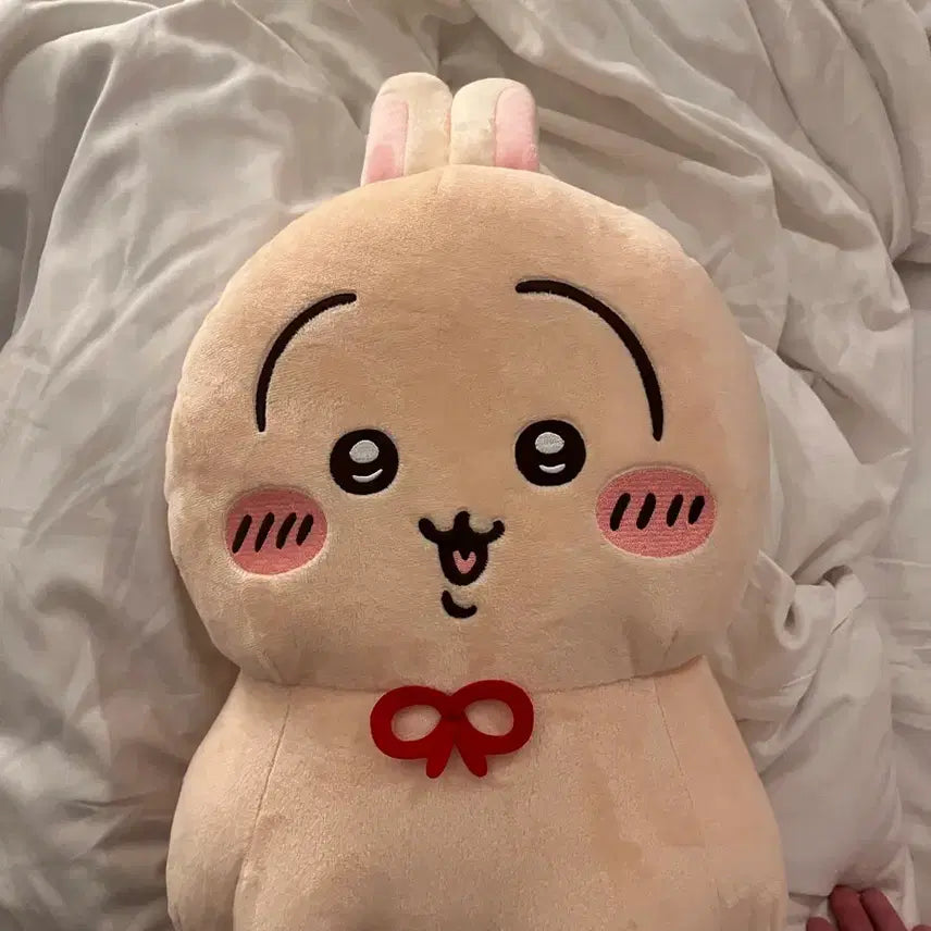 [BUNJANG] Chiikawa Usagi Raincoat Plush Limited Edition Japan Authentic / 치이카와 메지루시 우사기 일본 한정판 정품